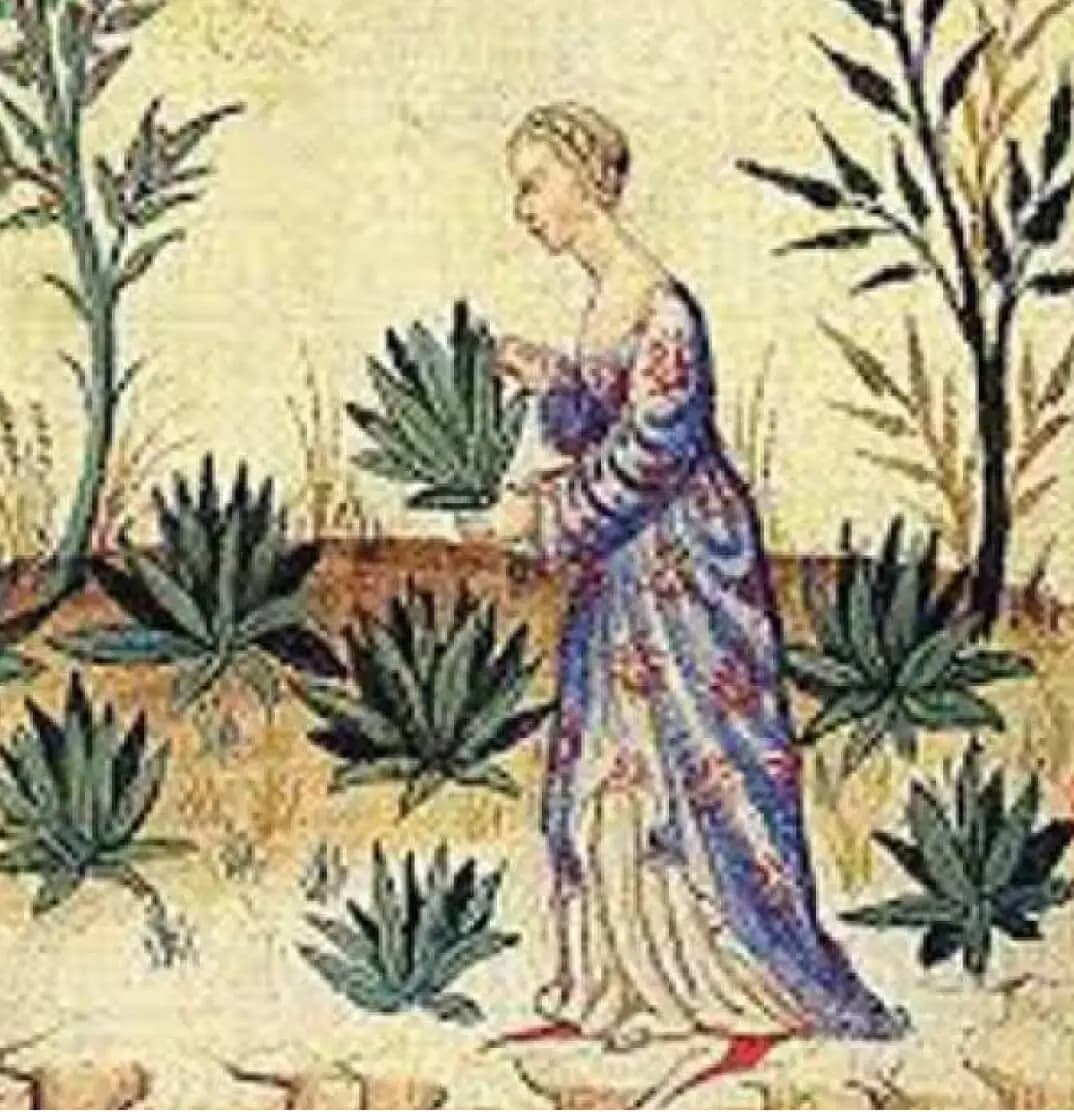 I Profumi di Firenze heritage